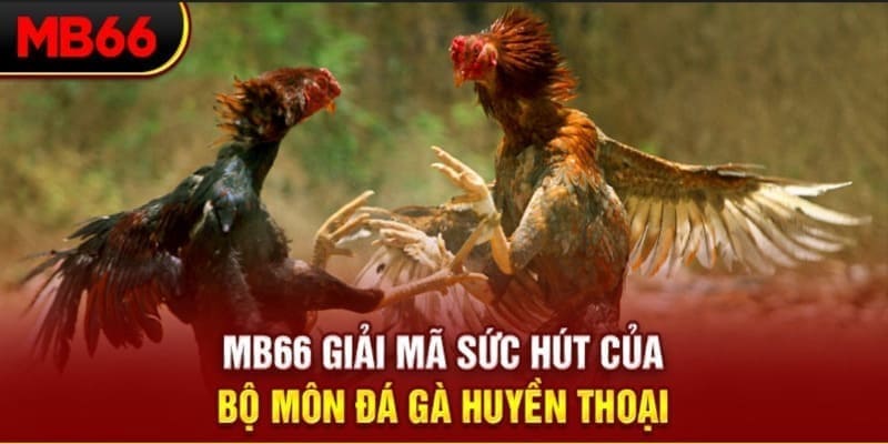 keo nha cai tv sòng bạc KÈO NHÀ CÁI