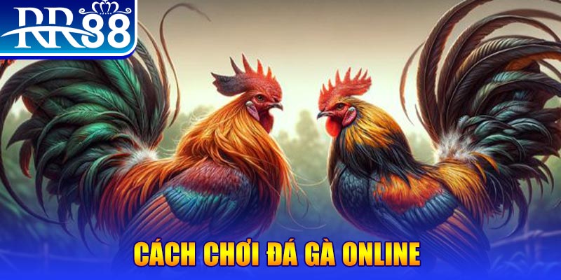 ku11bet sòng bạc là gì