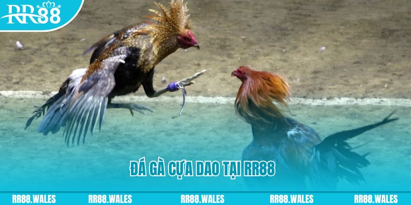 gg game sòng bạc KÈO NHÀ CÁI